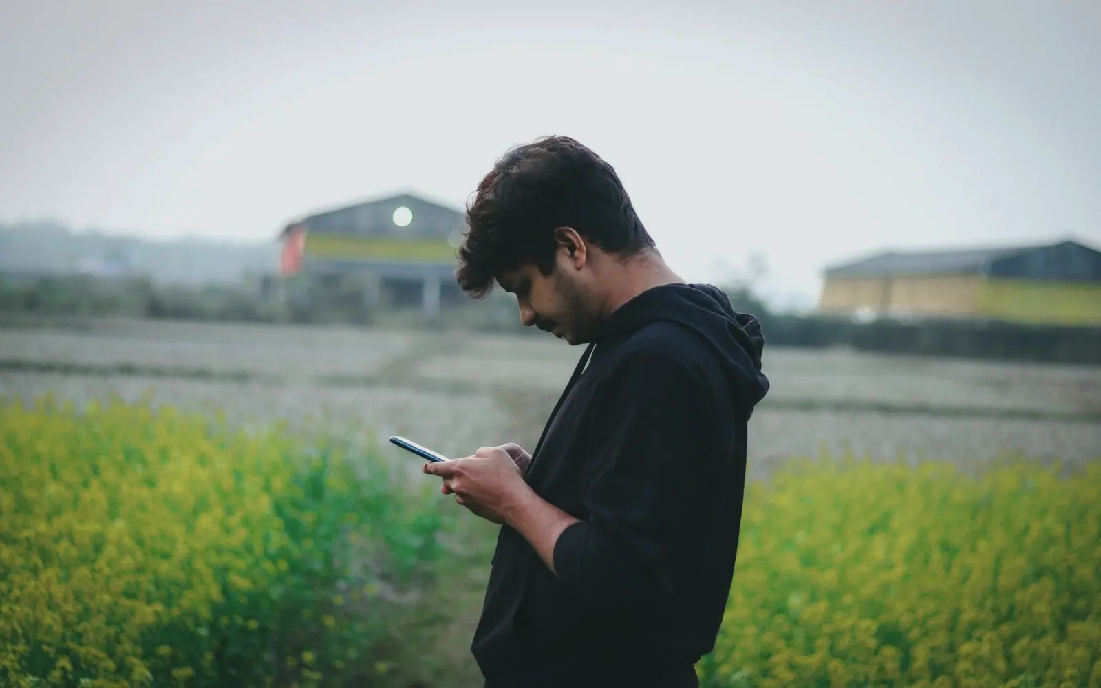 A farmer checking his phone at the edge of a flowering field